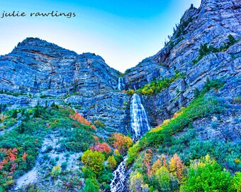 Autumn Landscape, Fall Colors, Home Decor, Aspen Autumn Leaves, Fine Art Photo