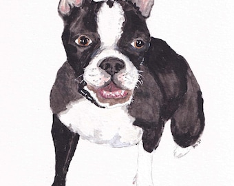 Boston Terrier art, Watercolor Print, Boston Terrier Watercolor Print, Dog Art, Boston Terrier Print (no frame)