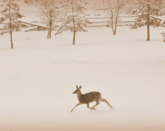 Besneeuwde herten in de weide, Winter fotografie, Sepia, Fine Art foto