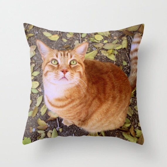 etsy cat pillow