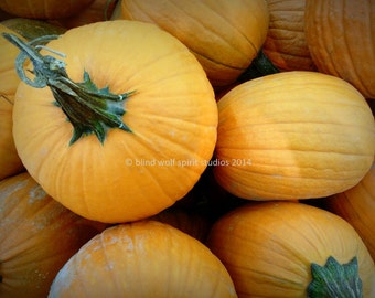 Pumpkin Photography, Autumn Still Life, Thanksgiving, Harvest Fall Photography, Fine Art Photo