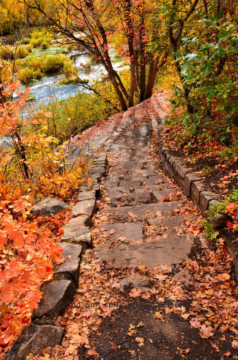 Autumn Fall Colors Photo, Mountain Photography, Fall Landscape Nature Photo image 1