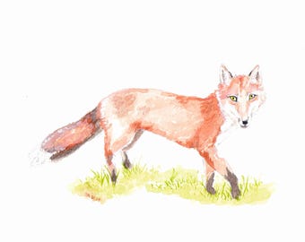 Fox painting, Red Fox, Watercolor print, watercolor art,
