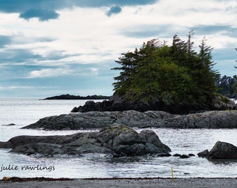 Coastal Alaska Island Photo, Landscape, Nature Fine Art Photo