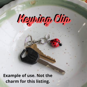 May include: A ladybug charm keychain with a red and black ladybug design, a silver-colored leaf, and a black bead. The keychain is attached to a silver-colored clip. The image also shows keys and the text "Keyring Clip".