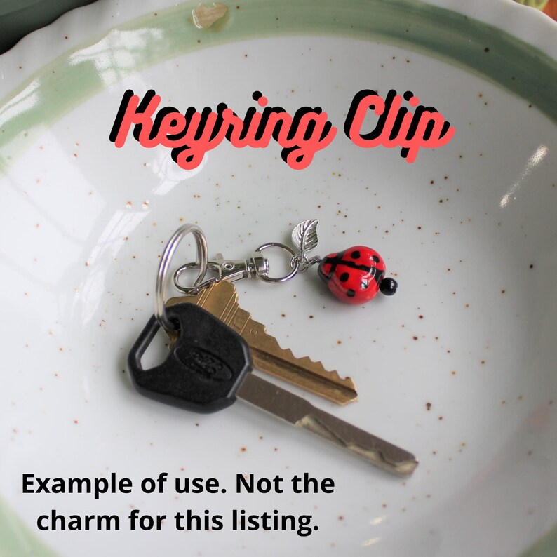 May include: A ladybug charm keychain with a red and black ladybug design, a silver-colored leaf, and a black bead. The keychain is attached to a silver-colored clip. The image also shows keys and the text "Keyring Clip".