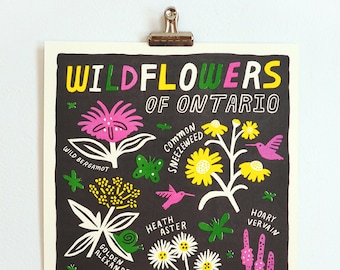 WILDFLOWERS van Ontario - 12" X 16" Risograph Print