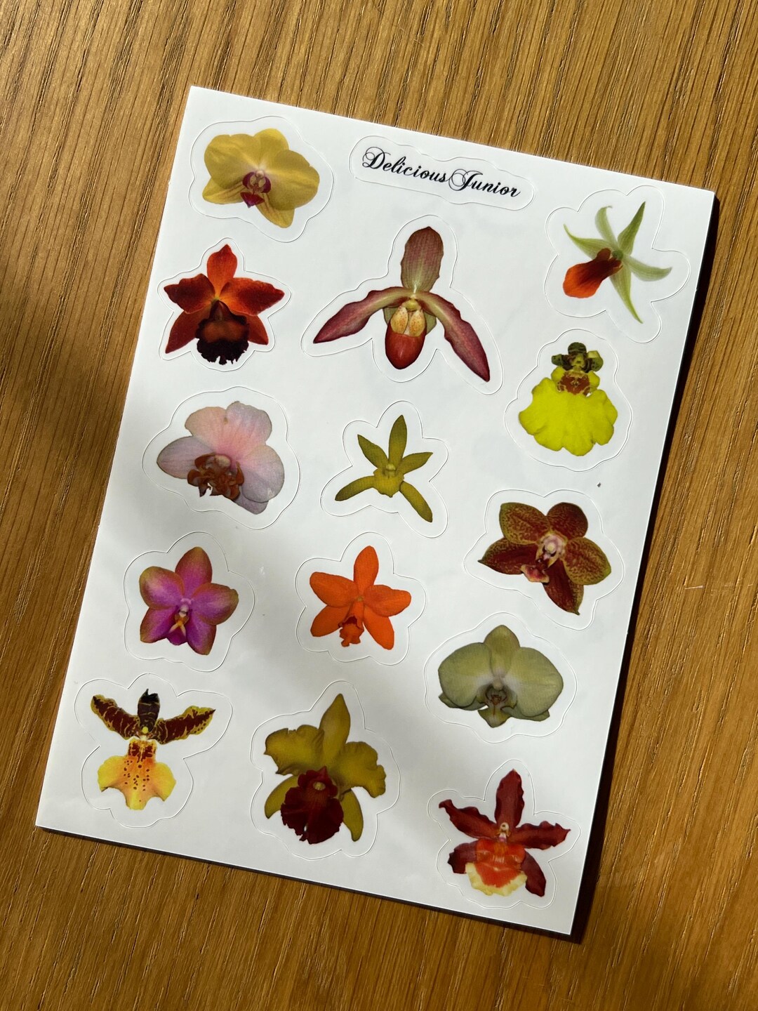Orchid Sticker Sunset Orchid Vinyl Sticker Sheet | Aesthetic Orchid Sticker Sheet ...
