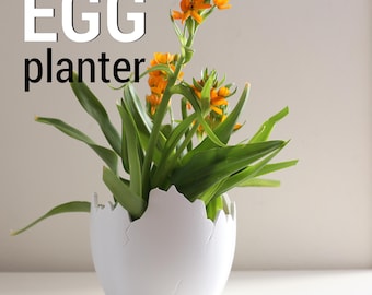 May include: A white egg-shaped planter with a cracked design, filled with a green plant with orange flowers. The text "EGG planter" is written in black letters above the planter.