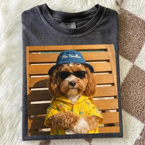 May include: A charcoal gray crew neck t-shirt featuring a graphic print of a brown dog wearing a blue bucket hat with the text Mr. Noodles, black sunglasses, and a yellow short-sleeved button-down shirt with a small green and orange pattern.