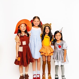 Wizard of Oz Inspired Cotton Dress: Handmade Costume