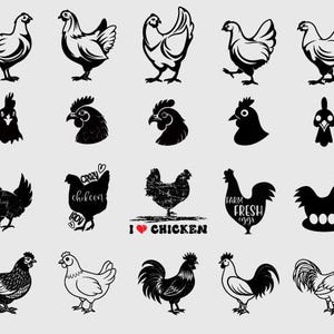 chicken svg bundle, cricut chicken png bundle, sublimation silhouette, chicken shirt design bundle, commercial use, eps, dxf, jpeg