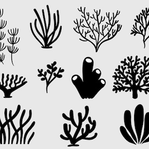 Coral SVG Bundle, Coral SVG Bundle, Coral Clipart, Coral SVG Cut Files for Cricut, Coral Silhouette, Seaweed svg, Seaweed png, Sea Plant svg