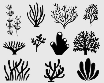 Koralle SVG Clipart Bundle, Algen PNG Schnitt Dateien (digitaler Download)