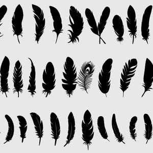 Feather svg bundle, Feather birds svg, dxf, png, jpg, Feathers Silhouette, Boho feather svg, Tribal feather svg, Instant Download