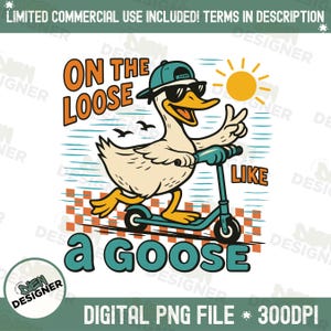 Silly Goose Boy PNG, Funny Last Day of School Design, End of Year Summer Break Shirt PNG, School&#39;s Out Sublimation PNG, Boys Summer Png