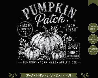 Campo di zucche SVG PNG, Zucca vintage SVG, Design di zucca autunnale fresca di fattoria, Design di zucca autunnale per maglietta