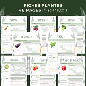 FR - Permaculture vegetable garden plant sheets: planning the 2025 season. Needs, planting advice, disease and pest solutions