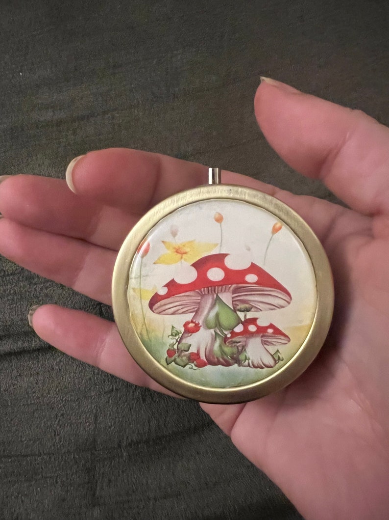 Mushroom image pill box Case Container FREE SHIPPING image 1