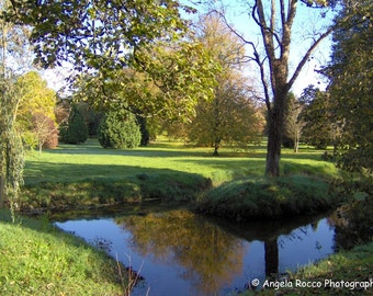 Blarney Castle Grounds 8X10 Print isnide 11X14 matt with back and bag