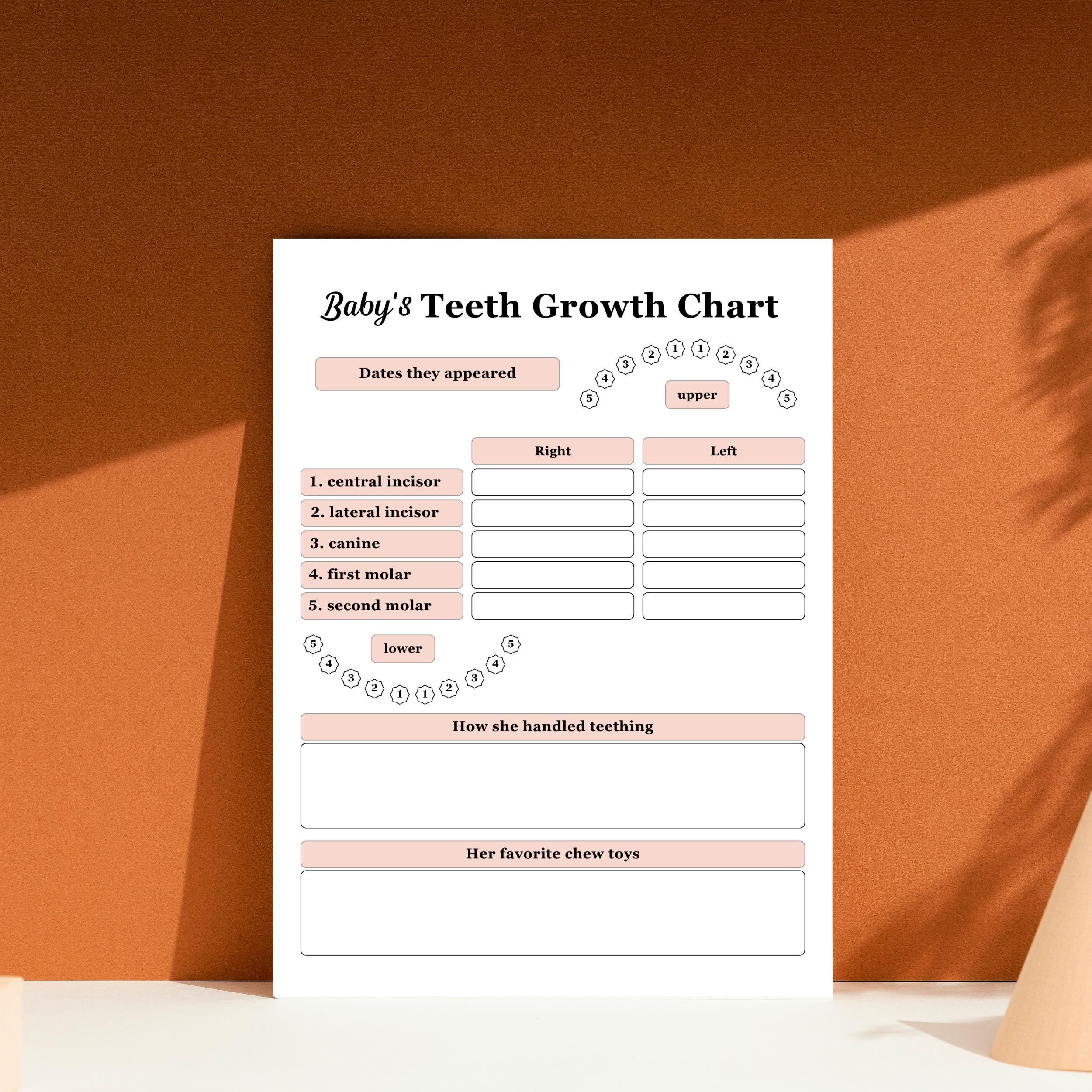 Baby Teeth Growth Chart Printable | Teething Tracker for Baby Book ...