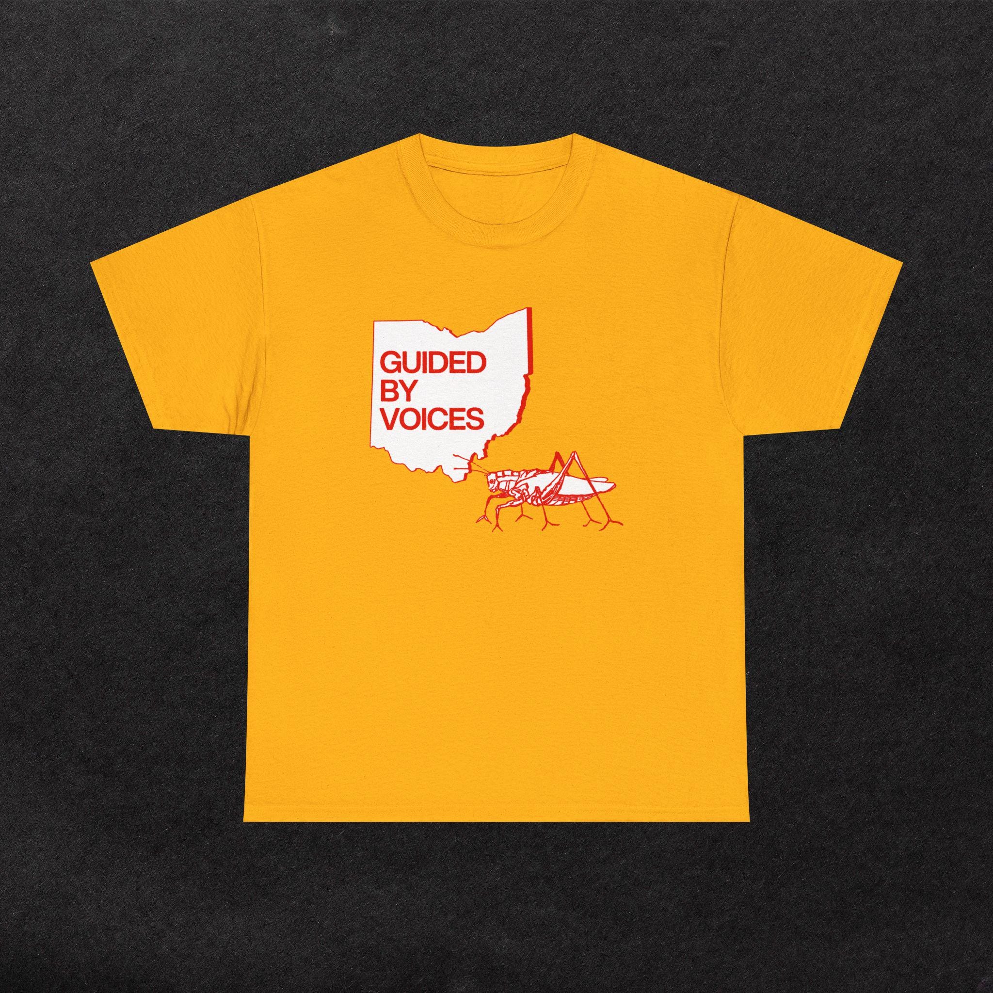 GUIDED BY VOICES Tシャツ Pavement ダイナソー