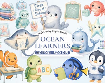 海の学習者向け水彩クリップアート、かわいい海の生き物PNG、教室装飾グラフィック、海底保育園アート、新学期初日のクリップアート。