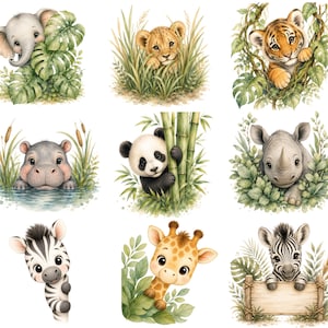 May include: A collection of nine watercolor illustrations featuring baby animals including an elephant, lion cub, tiger, hippo, panda, rhino, zebra, and giraffe, all surrounded by lush green foliage, bamboo, water, and a wooden sign.