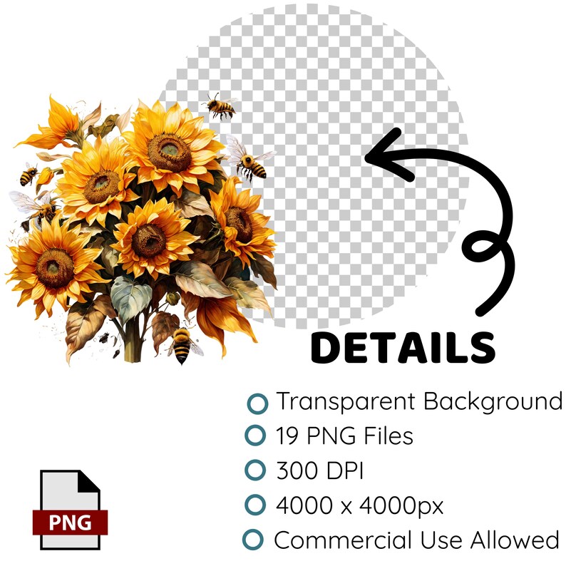 Solrosor och bin Clipart, blommig PNG, solrosillustration, bi-clipart, akvarellblommor, akvarell vår-clipart, utskrivbar PNG bild 2