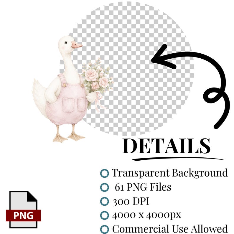 May include: A digital illustration of a white duck wearing pink overalls and holding a bouquet of pink roses. The image includes text stating DETAILS, Transparent Background, 61 PNG Files, 300 DPI, 4000 x 4000px, and Commercial Use Allowed.
