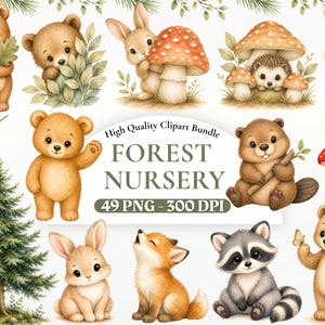 May include: A collection of watercolor illustrations featuring forest animals and elements. Includes bears, rabbits, a fox, a raccoon, a hummingbird, mushrooms, and a pine tree. The text "FOREST NURSERY" is displayed with "49 PNG - 300 DPI".