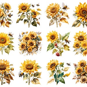 Solrosor och bin Clipart, blommig PNG, solrosillustration, bi-clipart, akvarellblommor, akvarell vår-clipart, utskrivbar PNG bild 3