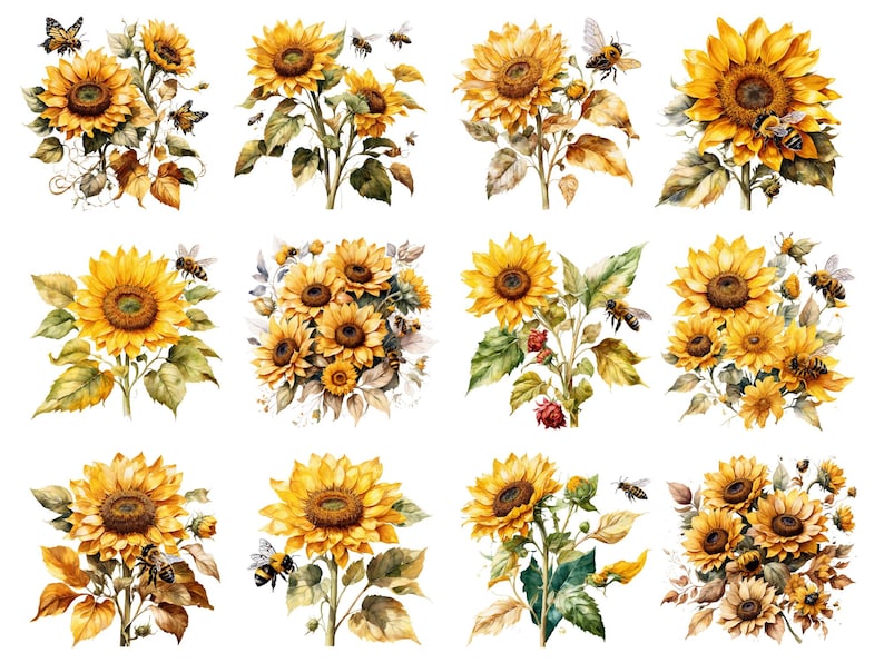 Solrosor och bin Clipart, blommig PNG, solrosillustration, bi-clipart, akvarellblommor, akvarell vår-clipart, utskrivbar PNG bild 3