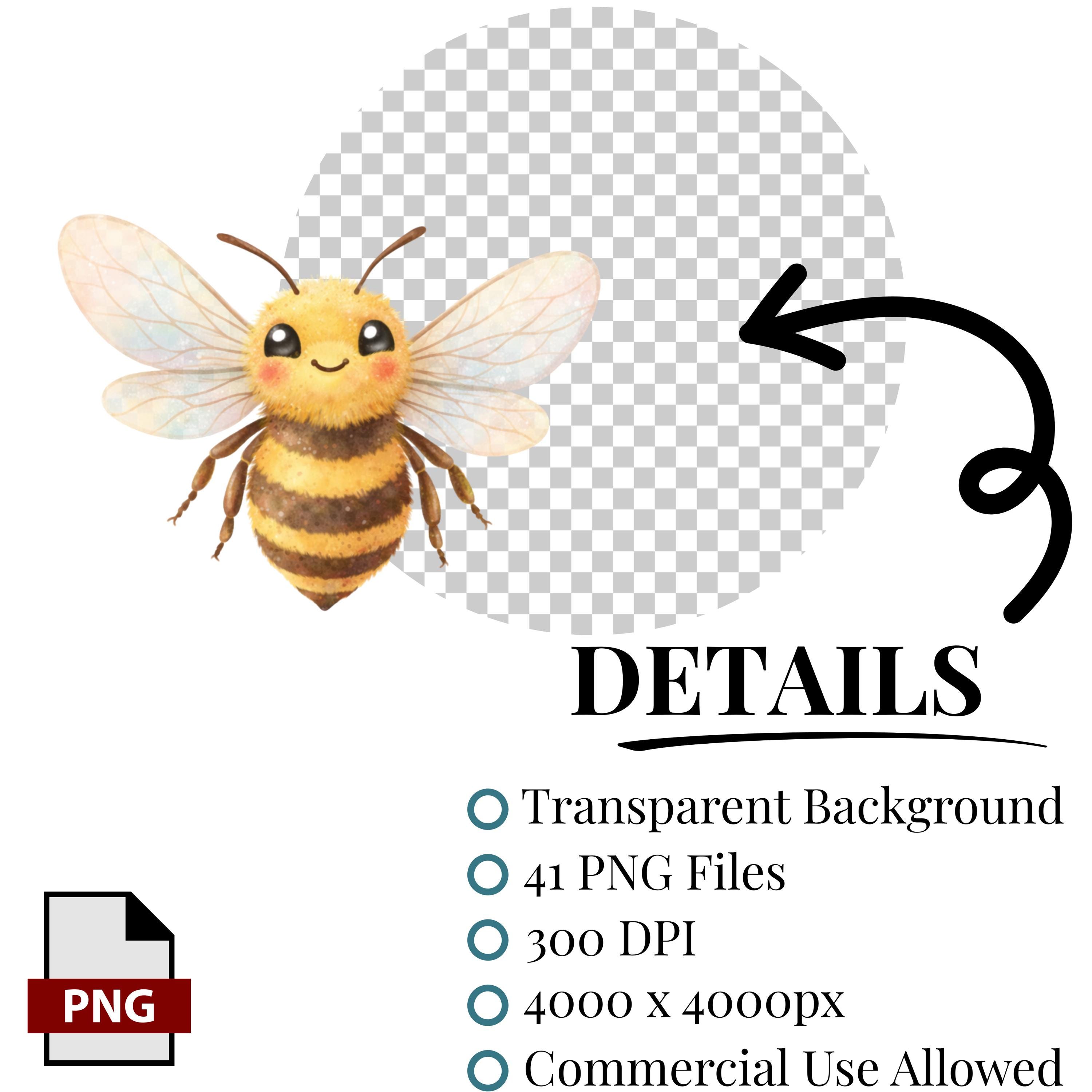 Honey Bee Clipart PNG, Cute Bee Illustration, Kawaii Bee Digital ...