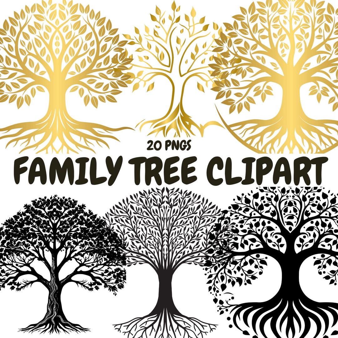 Family Tree PNG Clipart Transparent Background | Genealogy Chart ...