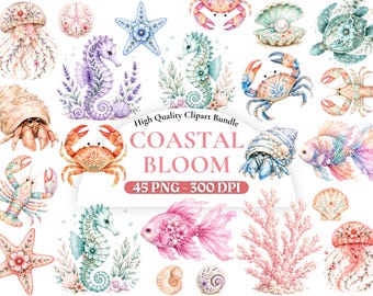 Watercolor Coastal Bloom Clipart Bundle, Beach Floral PNG Set, Coastal Clipart, Summer Beach Graphics, Nautical Floral, Commercial Use