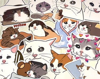 Crying Cat Meme Stickers