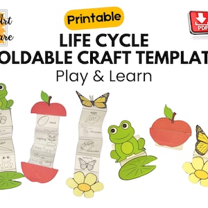 Life Cycle Foldable Craft Template Printable for Kids | Butterfly, Frog & Apple Science Activity Montessori Resource