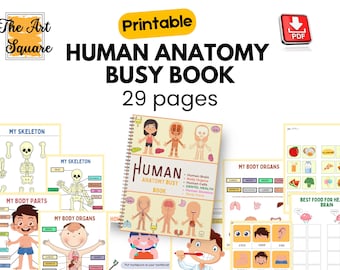 Libro de actividades imprimible sobre el cuerpo humano / Anatomía / Hoja de trabajo sobre las partes del cuerpo para niños / Montessori / Educación preescolar en casa / Descarga instantánea en PDF