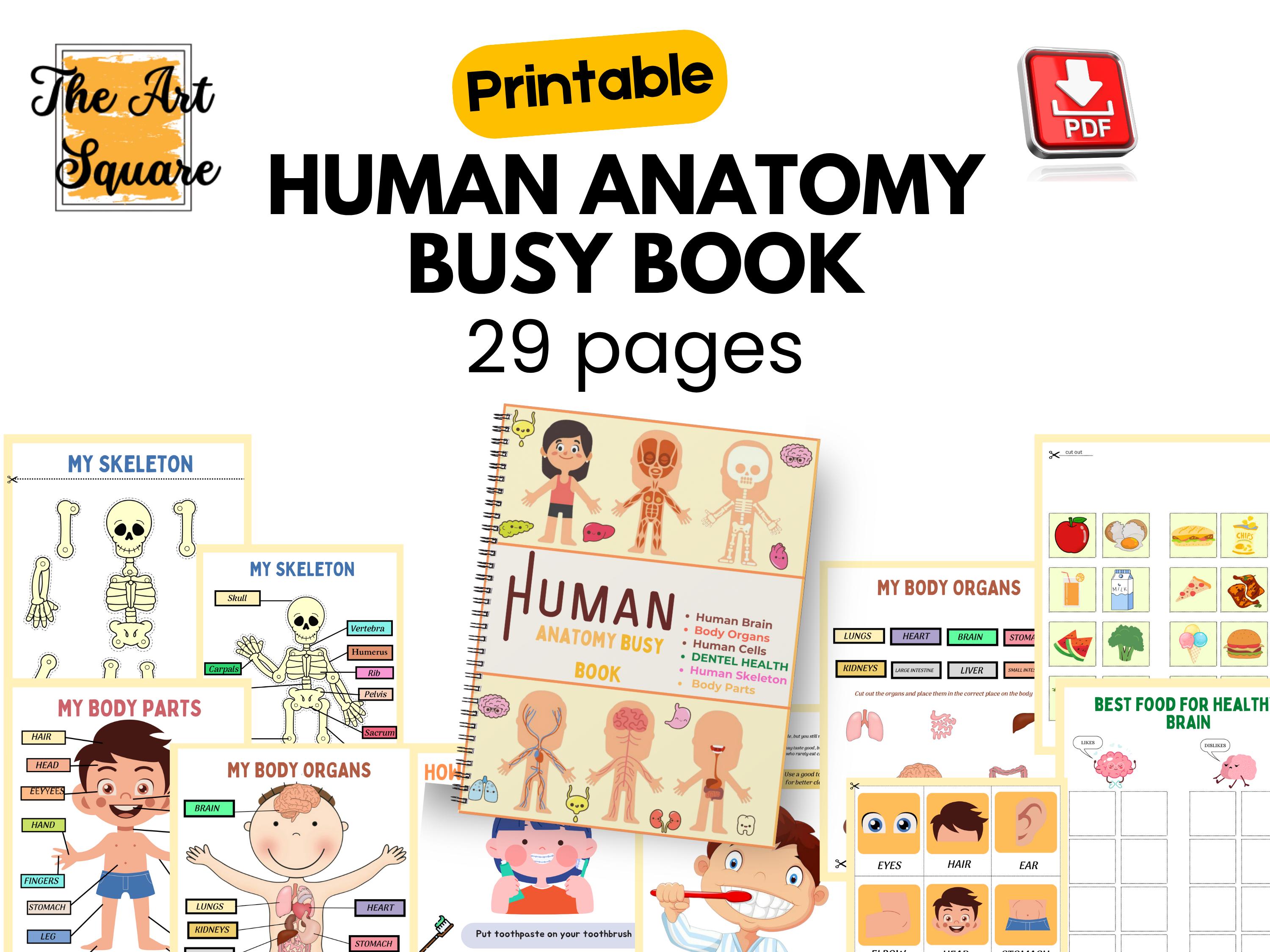 Human Anatomy Busy Book: Printable Body Parts Activity (PDF Download ...
