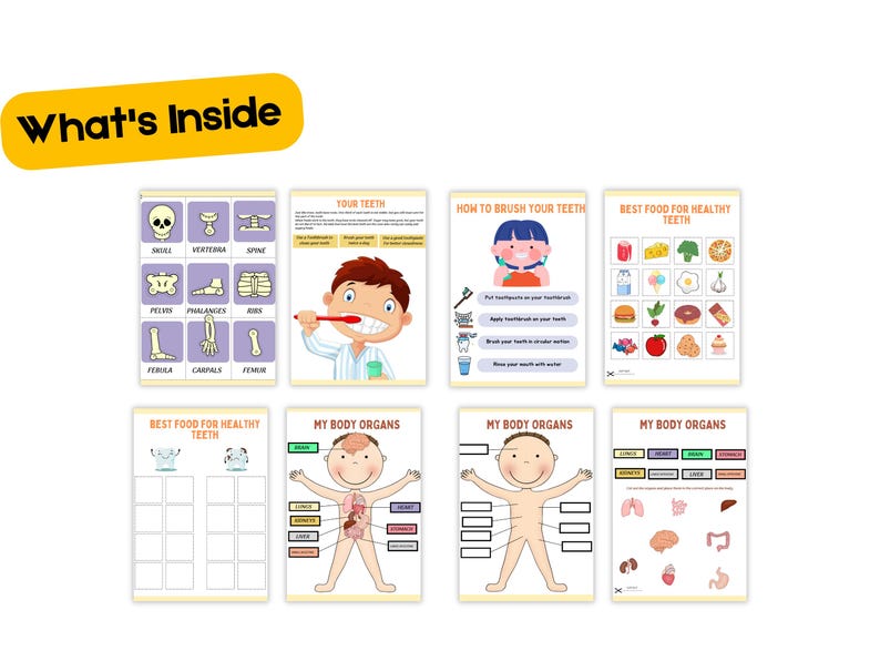 Human Anatomy Busy Book: Printable Body Parts Activity (PDF Download ...
