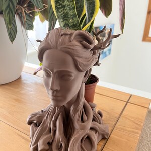 May include: A brown bust planter shaped like a woman's head, featuring detailed flowing hair and branch-like elements. A small potted plant sits within the bust. The planter is displayed on a wooden surface, adding a natural touch to the decor.