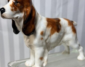 Vintage Royal Doulton Springer Spaniel Figurine HN 1036 chien porcelaine marron et blanc brillant fabriqué en Angleterre Statue animal du milieu du siècle