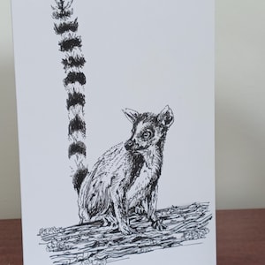 Ring-tailed lemur card