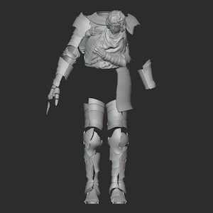 Twinned Armor 3d Stl File | Twinned Armor Digital File