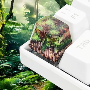 Handmade Amazon Jungle Resin Keycap: Artisan Backlit R4 Keycap For MX Switches
