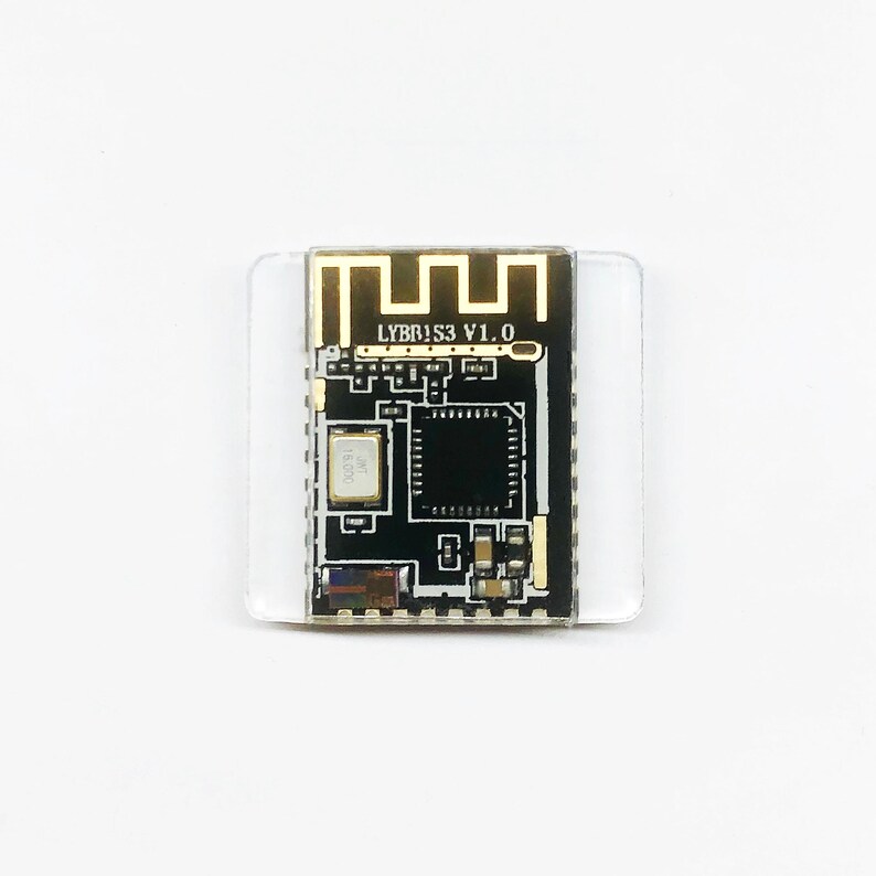 May include: A small, black circuit board with gold-colored components and the text "LYBB1S3 V1.0" printed on it. The board is mounted on a clear, rectangular base. The background is plain white.
