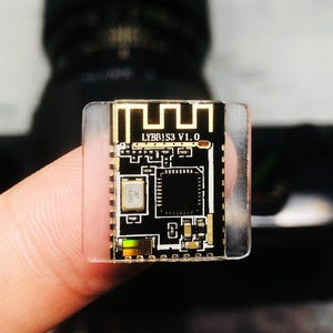 May include: A small, rectangular circuit board with gold-colored traces and components on a black background. The text "LYBB1S3 V1.0" is printed on the board. The board is encased in a clear plastic housing.