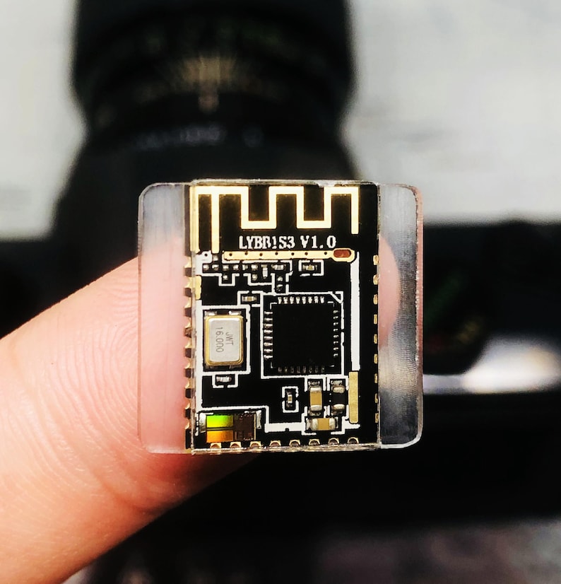May include: A small, rectangular circuit board with gold-colored traces and components on a black background. The text "LYBB1S3 V1.0" is printed on the board. The board is encased in a clear plastic housing.