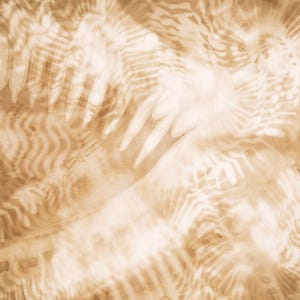 May include: Abstract sepia-toned image with a soft, blurred focus. The image features a pattern of organic shapes and textures, resembling feathers or leaves. The overall effect is one of gentle movement and depth.